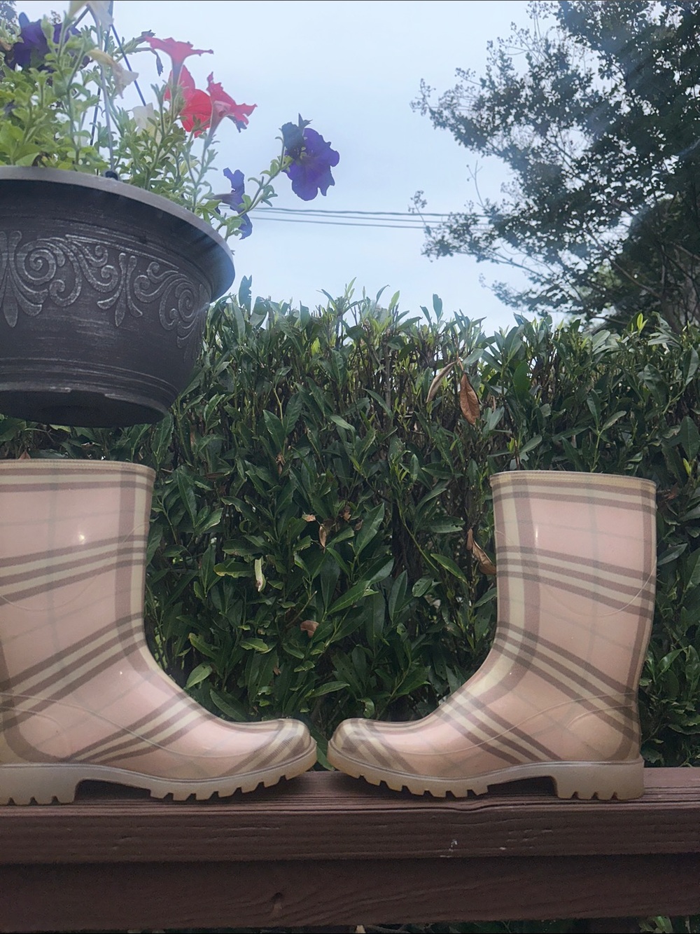 Vintage Baby pink Burberry rubber rain boots - Picture 8 of 17